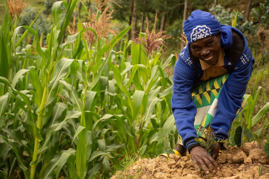 A young farmer planting seedlings and smiling