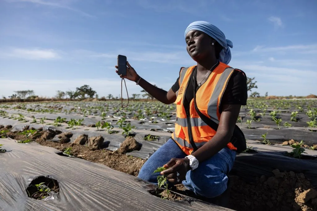 A Suluma team member recording field data on a mobile phone